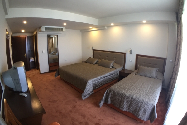Hotel Millennium (Tushemisht)